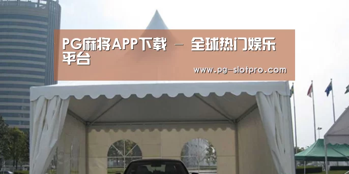 案例标题八