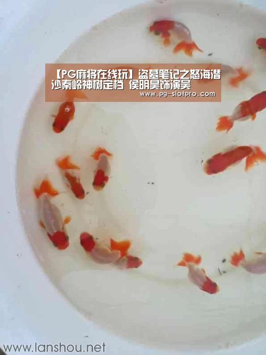 【PG麻将在线玩】盗墓笔记之怒海潜沙秦岭神树定档 侯明昊饰演吴(图2) PG电子登录入口