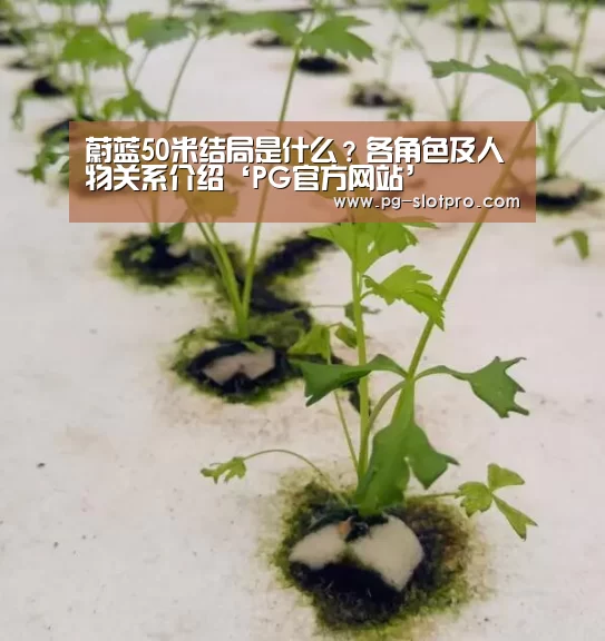PG电子登录入口