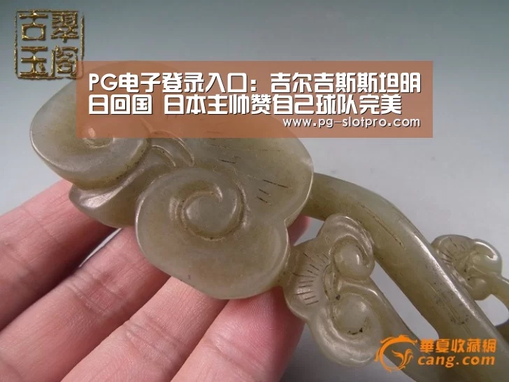 PG官方网站