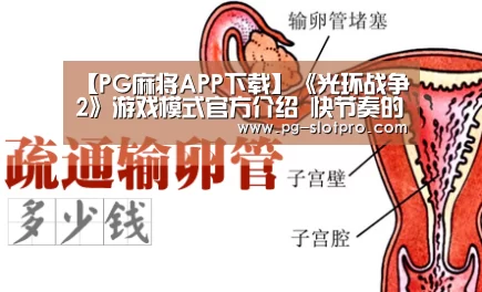 PG官方网站
