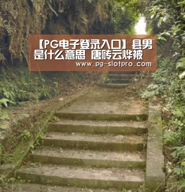 【PG电子登录入口】县男是什么意思 唐砖云烨被封县男爵位是几品官职(图2) PG麻将APP下载