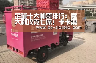 足球十大帅哥排行:意大利攻克七席!卡卡第三 因扎吉垫底-PG电子登录入口(图4) PG官方网站