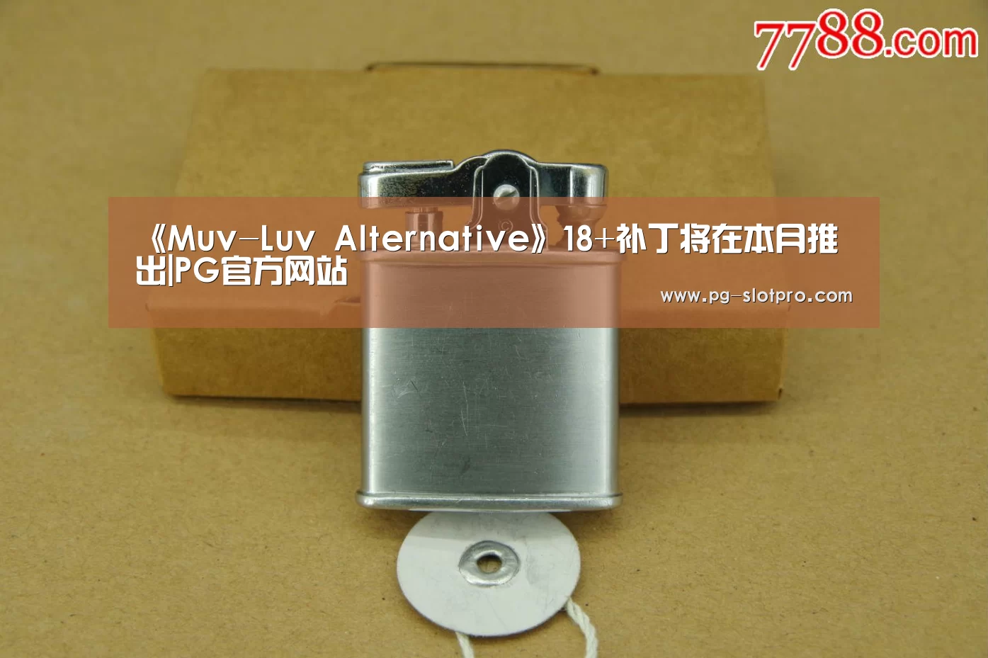 《Muv-Luv Alternative》18+补丁将在本月推出|PG官方网站(图3) PG电子登录入口