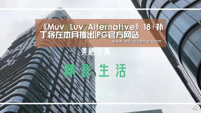 《Muv-Luv Alternative》18+补丁将在本月推出|PG官方网站(图4) PG官方网站