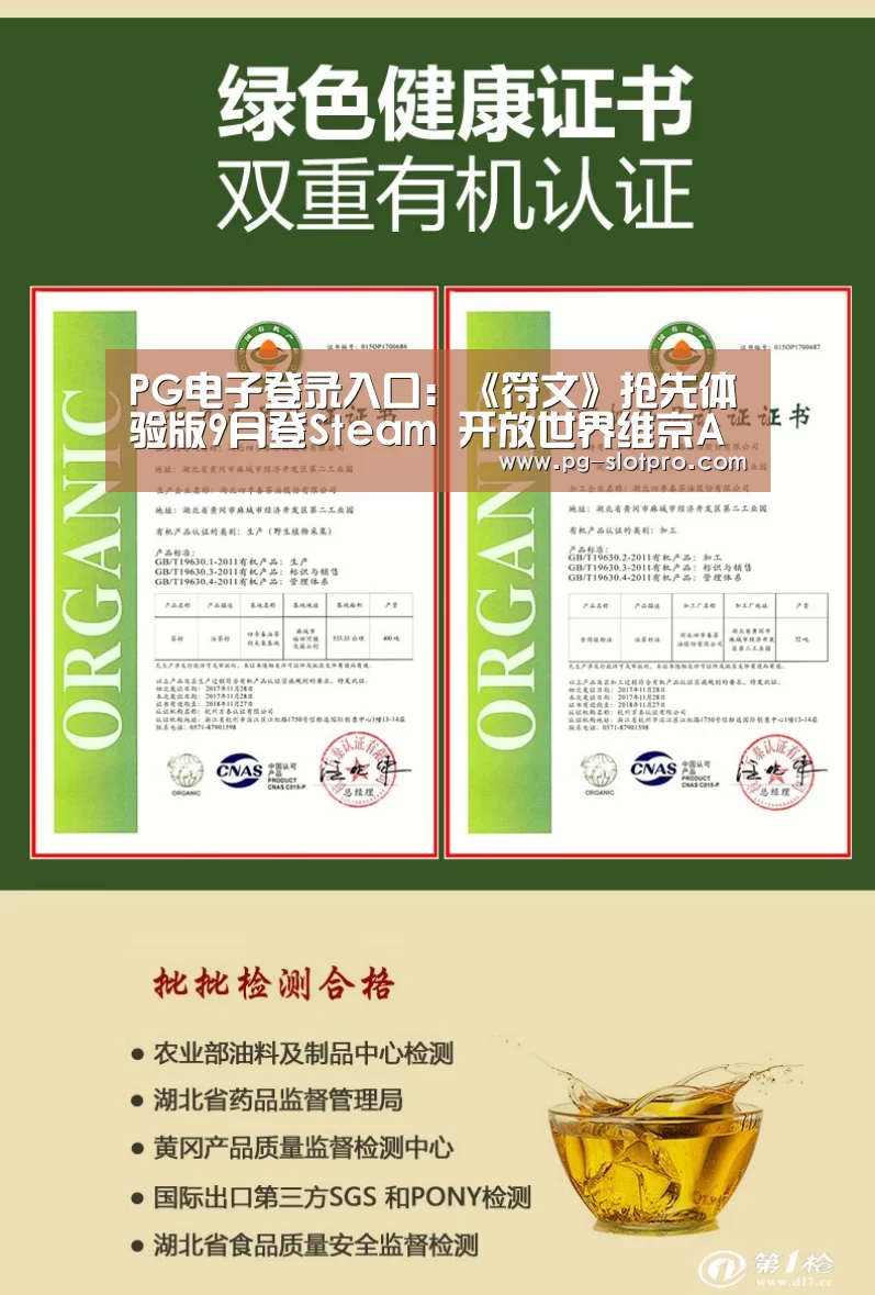 PG电子登录入口:《符文》抢先体验版9月登Steam 开放世界维京ARPG(图1) PG麻将APP下载