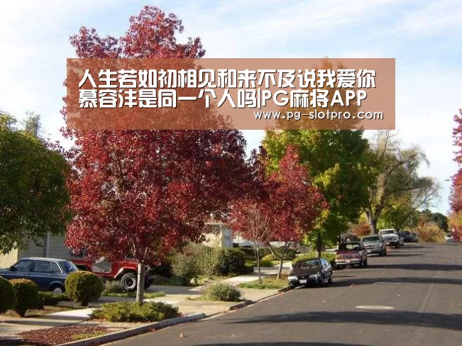 PG官方网站