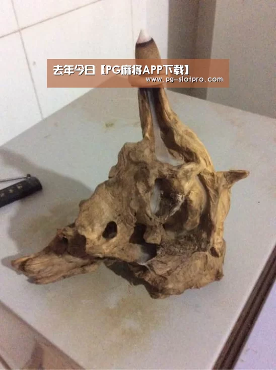 去年今日【PG麻将APP下载】(图2) PG麻将APP下载